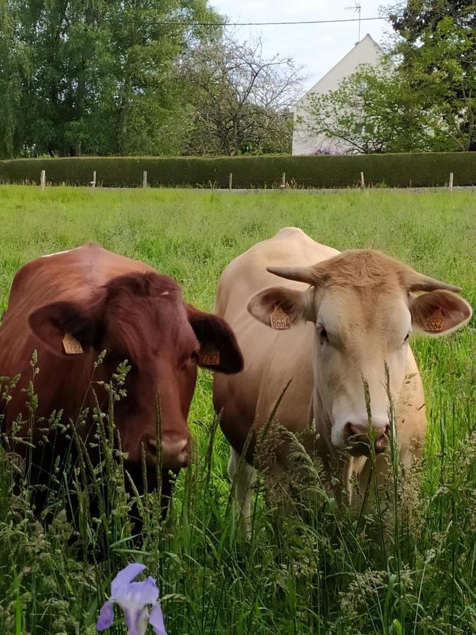 La Chaussee D'Olivet En Mayenne Luaran gambar