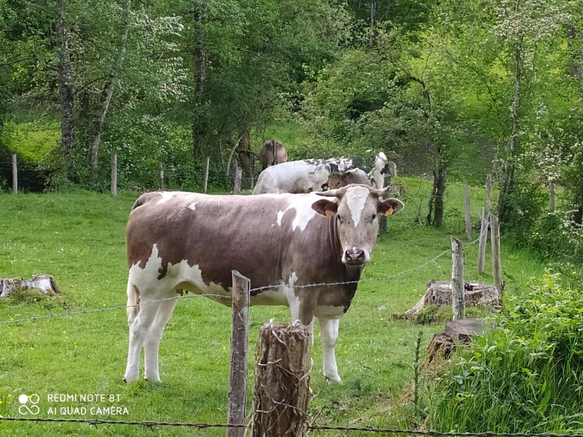 La Chaussee D'Olivet En Mayenne Luaran gambar